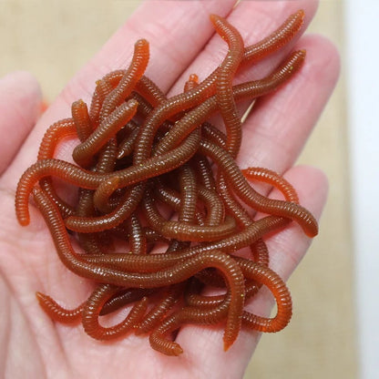 🎣 Scented Earthworm Fishing Lures – Soft Artificial Baits for Freshwater & Saltwater，Pack of 50 pcs🪱